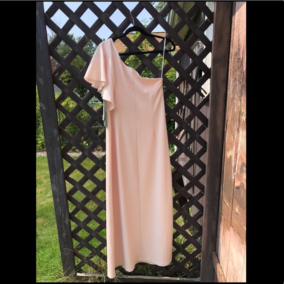 🦩 HP🦩Scarlett blush size 14P dress - Picture 2 of 4